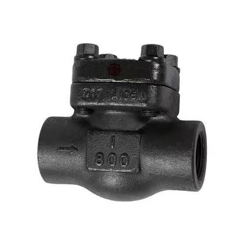 Forged Check Valve